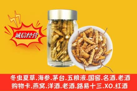运城市河津回收散虫草