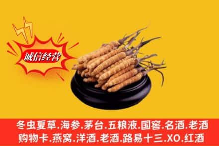 运城市河津求购回收虫草多少钱每克